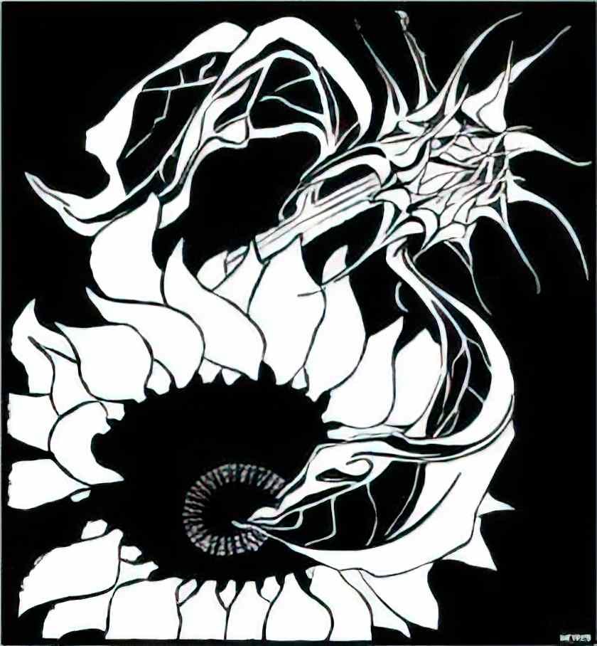 M C Escher initial t Art A4 Photo Print