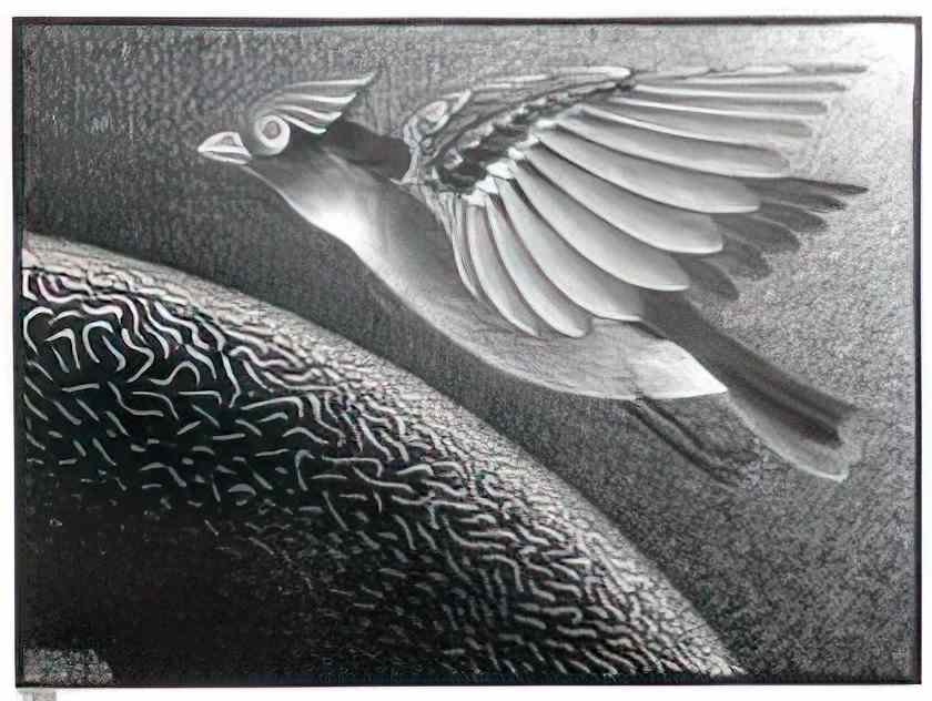 M C Escher the 1st day of the creation Art A4 Photo Print