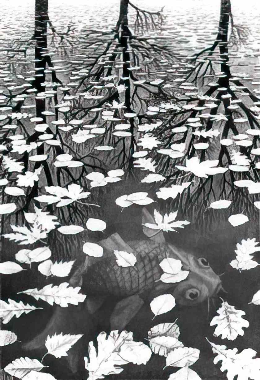 M C Escher metamorphosis ii excerpt 7 Art A4 Photo Print