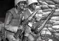 M1 Carbine 10 A4 Photo Print