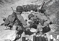 M1 Carbine 4 A4 Photo Print