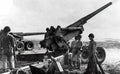 M1 M2 M59 Longtom A4 Photo Print