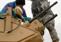 M1117 Guardian Armored Security Vehicle 2 A4 Photo Print
