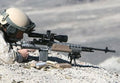 M39 Enhanced Marksman Rifle Emr A4 Photo Print