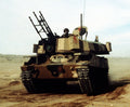 M551 Sheridan 10 A4 Photo Print