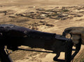 M60 General Purpose Machine Gun 4 A4 Photo Print