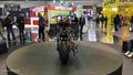 MATCHLESS X RELOADED 13281 6 Car A4 Photo Print