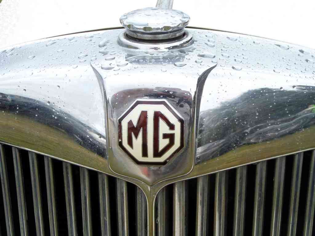 MG Bonnet 2429 Grille A4 Photo Print
