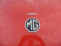 MG Bonnet 2439 Grille A4 Photo Print