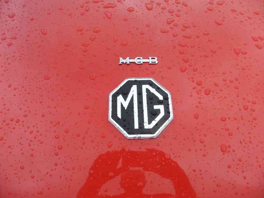 MG Bonnet 2439 Grille A4 Photo Print
