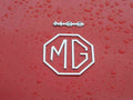 MG Bonnet 2458 Grille A4 Photo Print