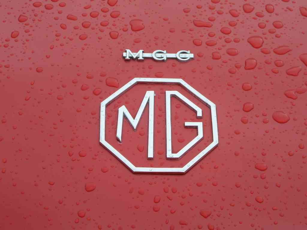 MG Bonnet 2458 Grille A4 Photo Print