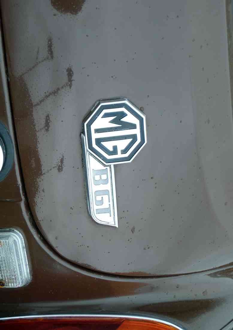 MG Bonnet 2552 Grille Real A4 Photo Print