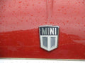 MINI Bonnet 2367 Grille A4 Photo Print