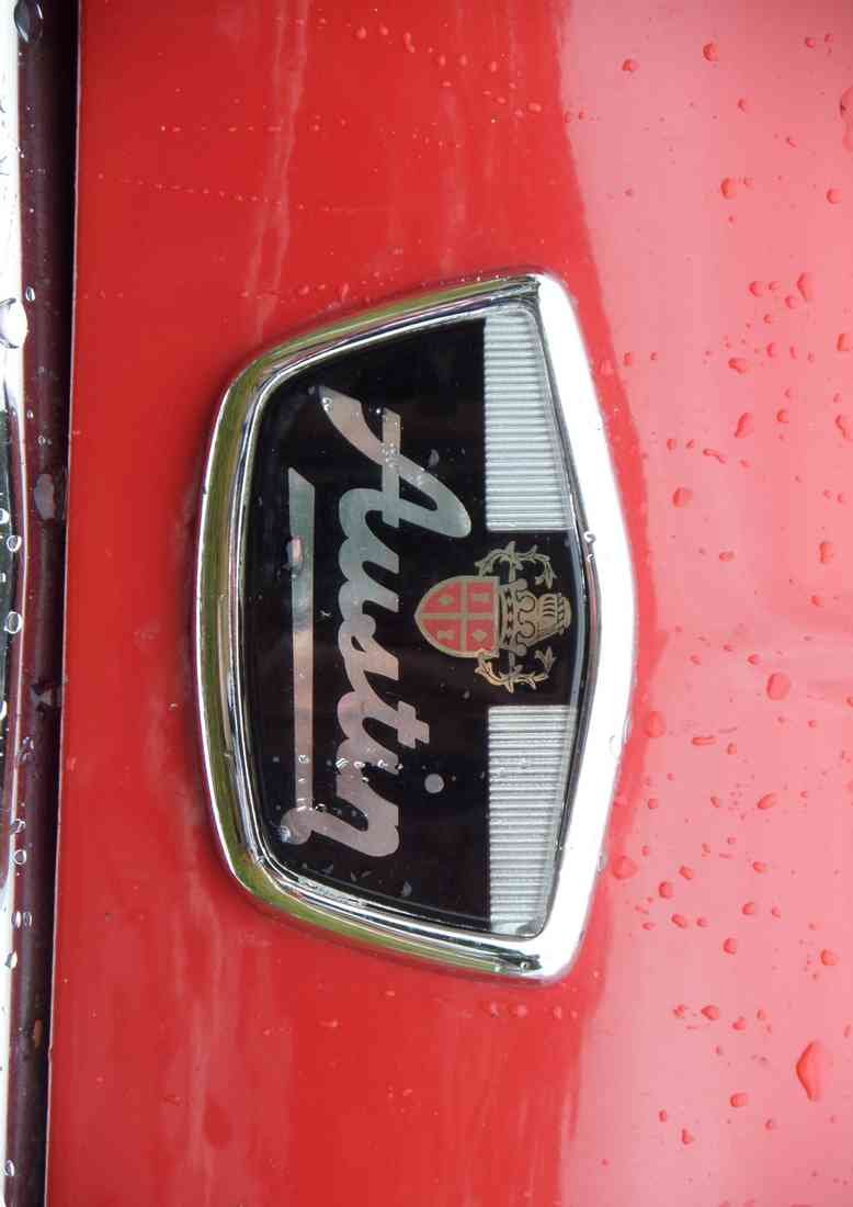 MINI Bonnet 2368 Grille Real A4 Photo Print