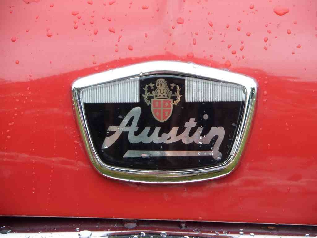 MINI Bonnet 2368 Grille A4 Photo Print