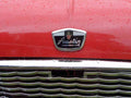 MINI Bonnet 2369 Grille A4 Photo Print