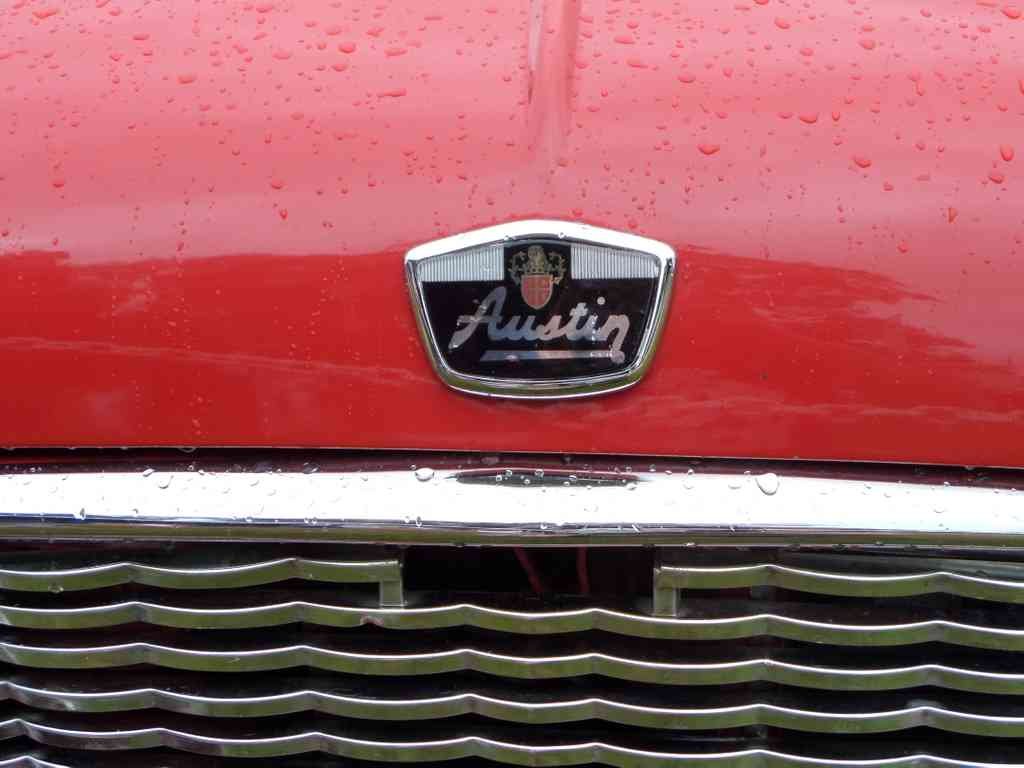 MINI Bonnet 2369 Grille A4 Photo Print