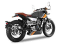 MONDIAL HIPSTER 250 13884 12 Car A4 Photo Print