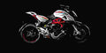 MV Agusta Rivale 800 2017 1 motorbike A4 Photo Print