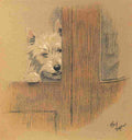 Mac 1912 2 A4 Photo Print