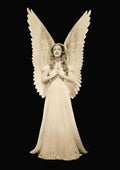 MacDonald Jeanette I Married an Angel 1S A4 Photo Print