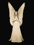 MacDonald Jeanette I Married an Angel 1S film star poster A4 Photo Print