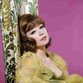 MacLaine Shirley 1 film star poster A4 Photo Print