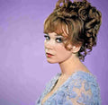 MacLaine Shirley 3 film star poster A4 Photo Print