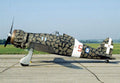 Macchi C200 Saetta A4 Photo Print