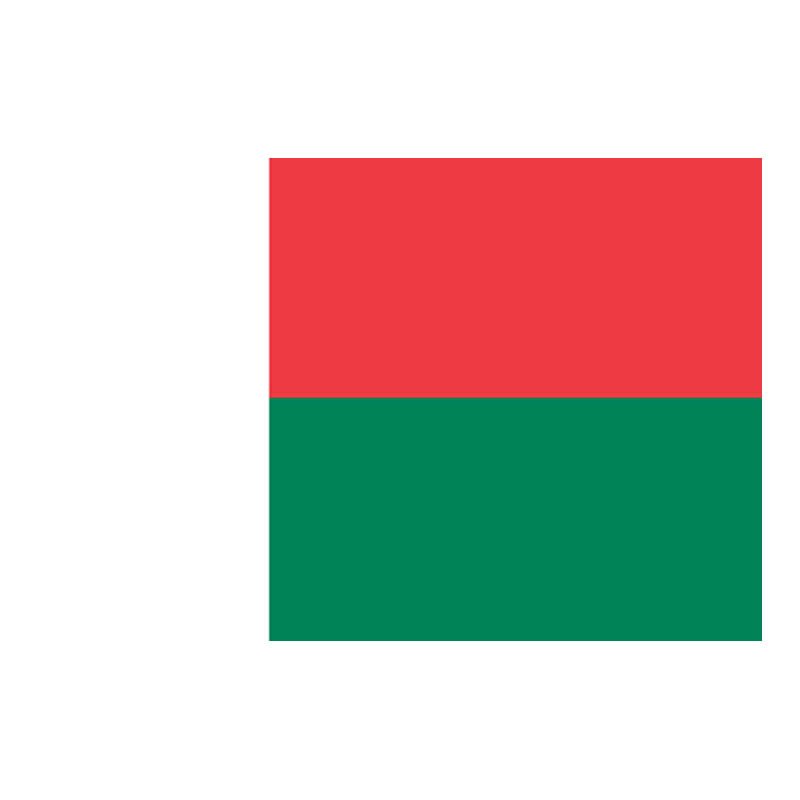 Madagascar Flag N1765 A4 Photo Print