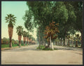 Magnolia Avenue Riverside Cal Vintage A4 Photo Print