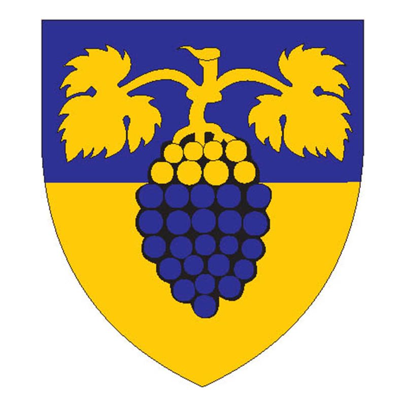 Maienfeld Circle Coat Of Arms N3216 A4 Photo Print