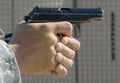 Makarov Pm 2 A4 Photo Print