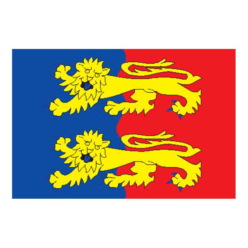 Manche Dep Flag N2962 A4 Photo Print