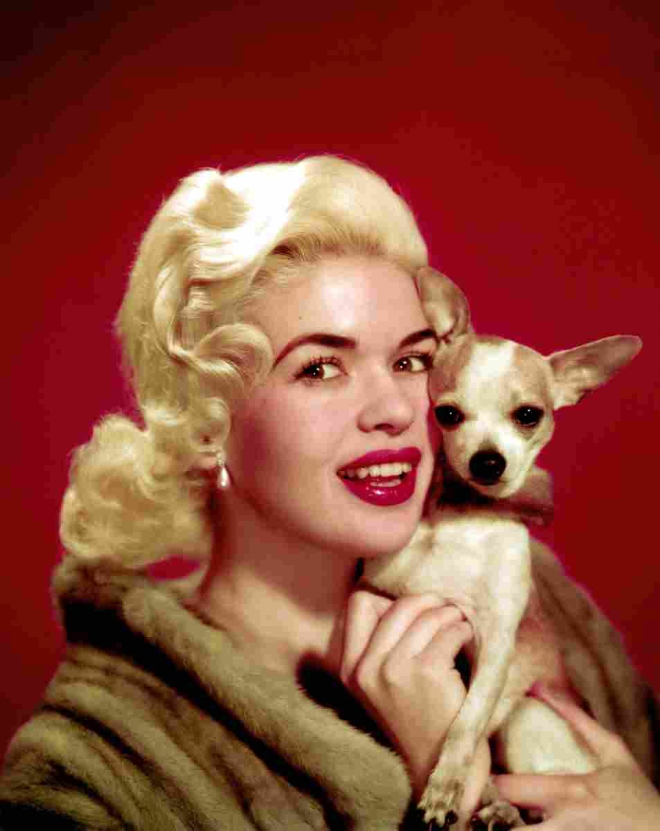 Mansfield Jayne 1 film star poster A4 Photo Print