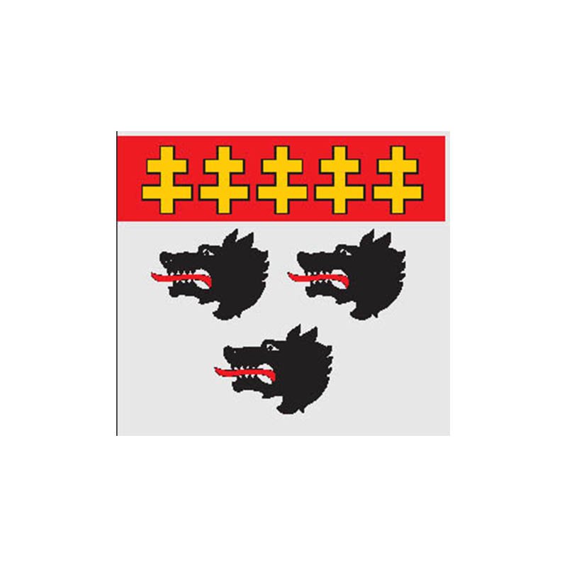 Marcinkonys City Flag N6996 A4 Photo Print
