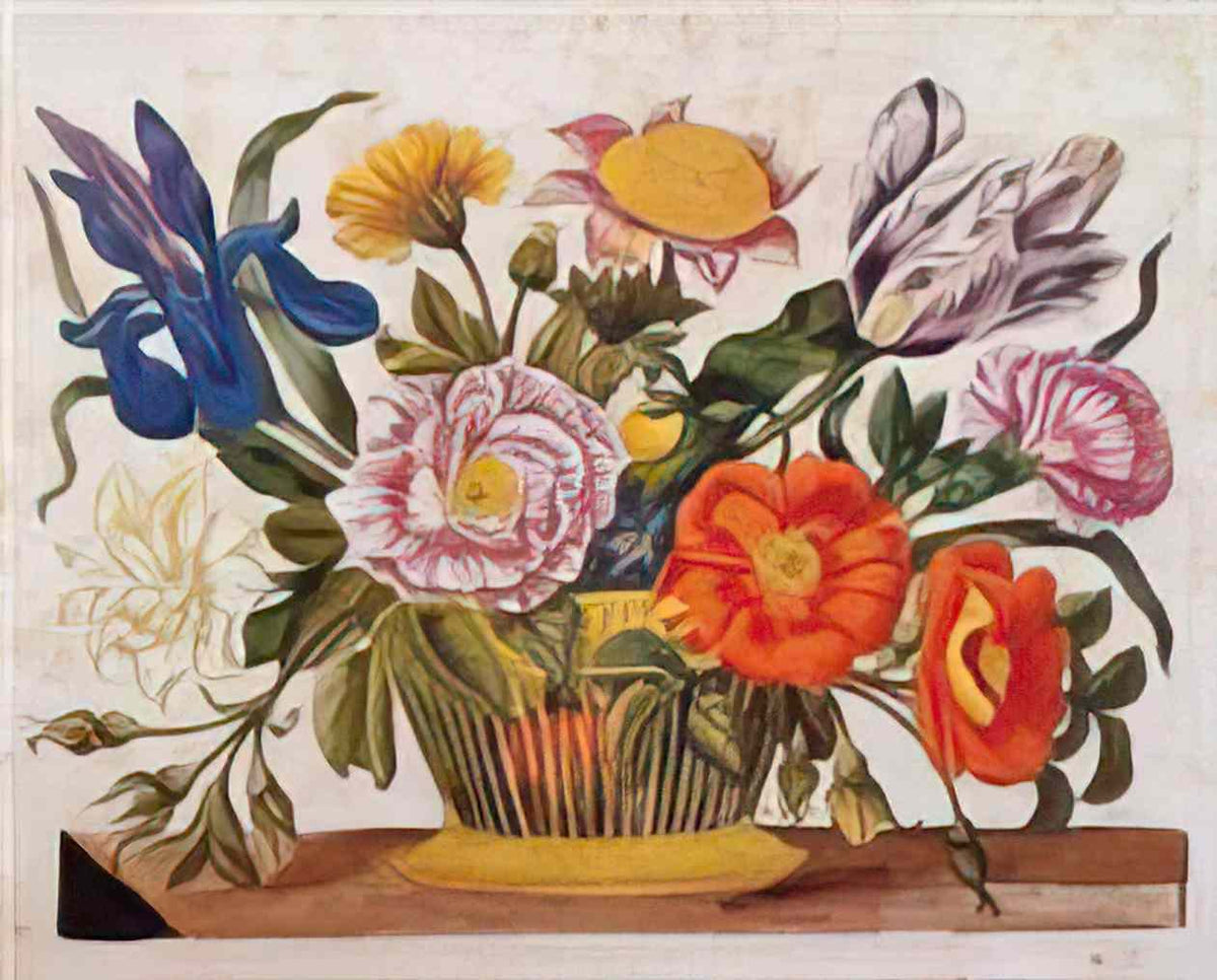 Maria Sibylla Merian from der raupen wunderbare verwandlung und sonde Art A4 Photo Print