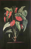 Marianne North A Colombian Aroid Art A4 Photo Print