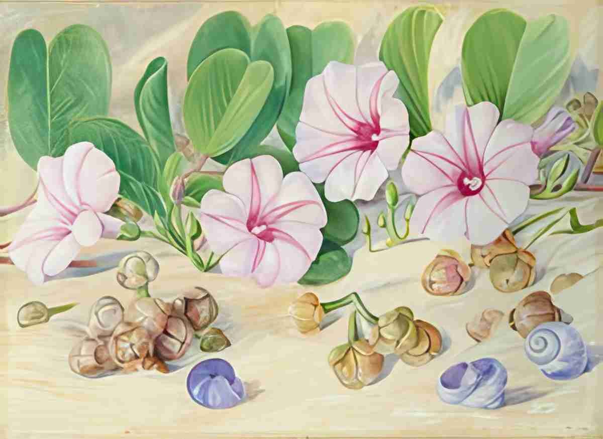Marianne North A Common Plant on Sandy Sea Shores in the Tropics Art A4 Photo Print