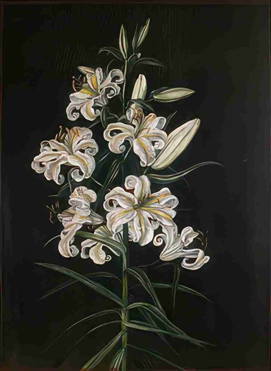 Marianne North A Japanese Lily Art A4 Photo Print
