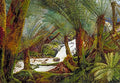 Marianne North A Natural Fernery in Victoria Art A4 Photo Print