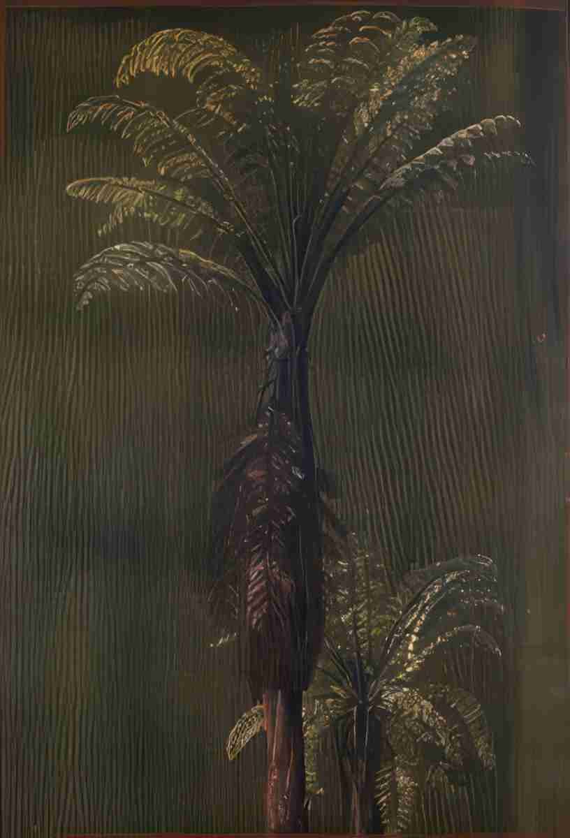 Marianne North A New Zealand Tree Fern Art A4 Photo Print