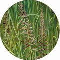 Marianne North A Sacred Grass Art A4 Photo Print