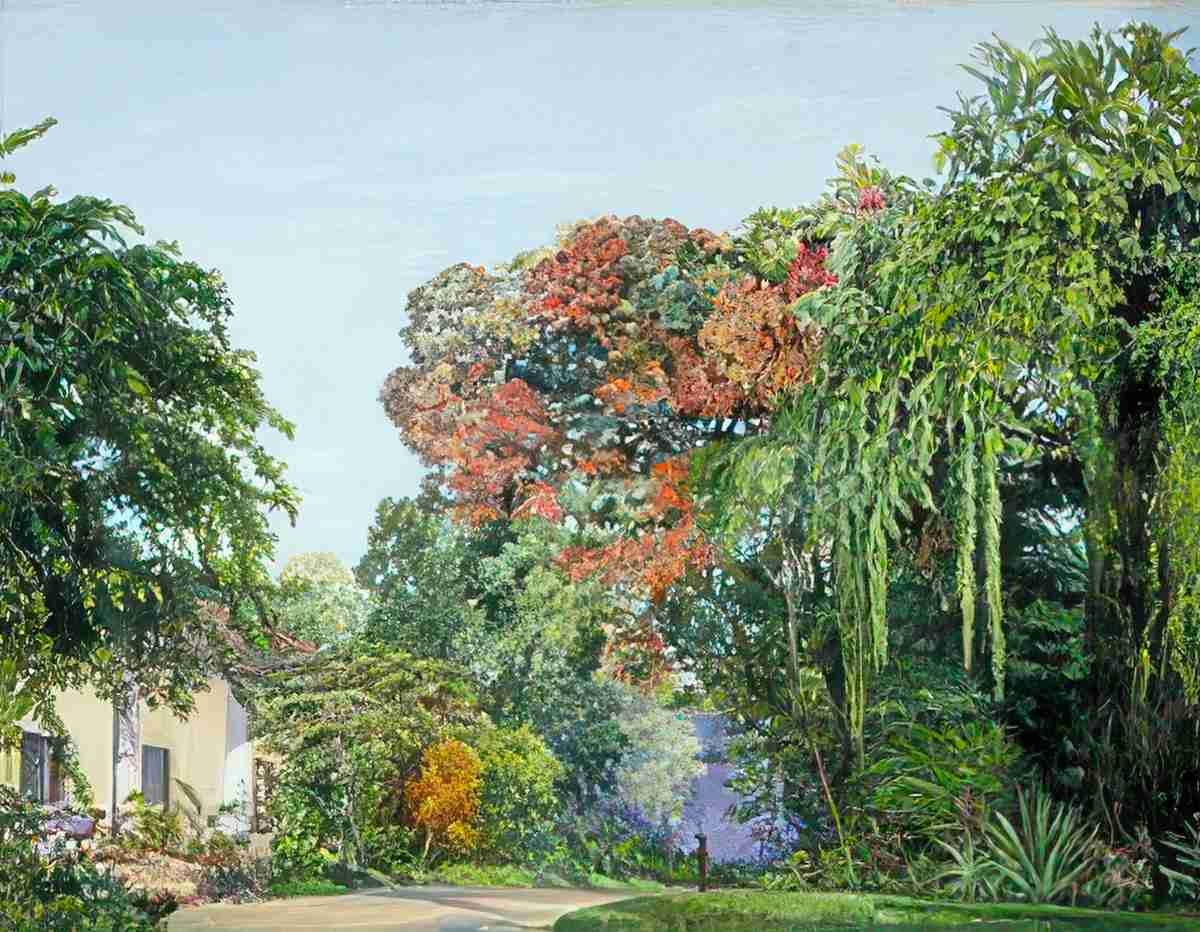 Marianne North A View in the Peradeniya Ceylon Art A4 Photo Print