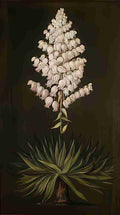 Marianne North Adams Needle or Yucca about Half Natural Size Art A4 Photo Print