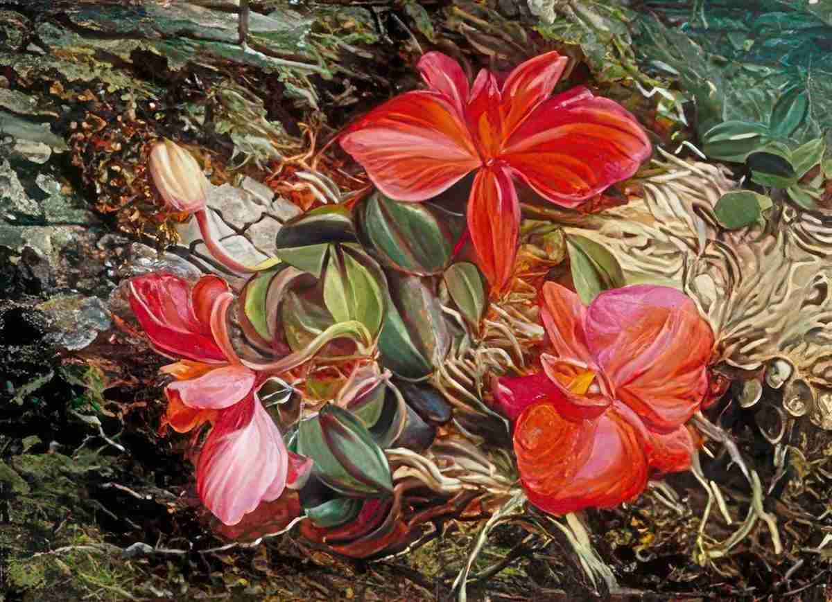 Marianne North Another Brazilian Orchid Art A4 Photo Print