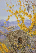 Marianne North Armed Birds Nest in Acacia Bush Chile Art A4 Photo Print