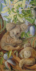 Marianne North Australian Bears Australian Pears Koala Art A4 Photo Print