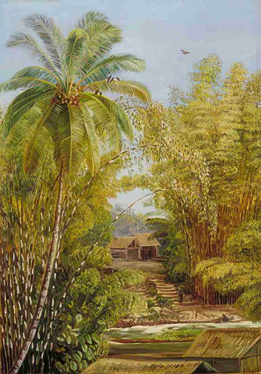 Marianne North Bamboos Cocoanut Palm Art A4 Photo Print